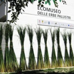 Foto L'Ecomuseo delle erbe palustri a Villanova di Bagnacavallo (Ra) 1