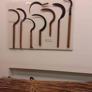 Foto L'Ecomuseo delle erbe palustri a Villanova di Bagnacavallo (Ra) 2