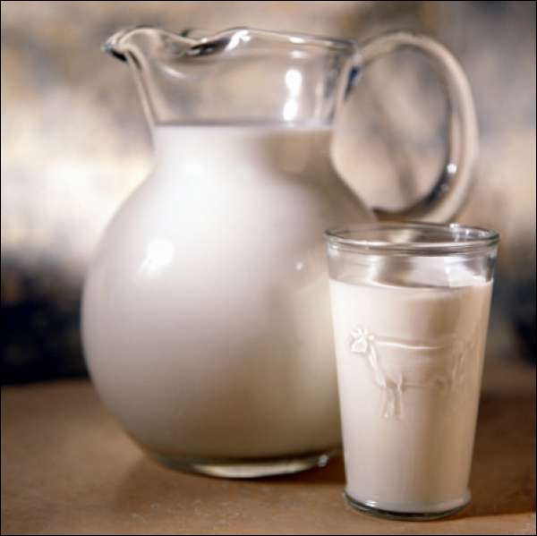 Foto: Sua maestà il latte