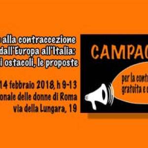 Foto L'accesso alla contraccezione dall'Europa all'Italia: la mappa, gli ostacoli, le proposte 1