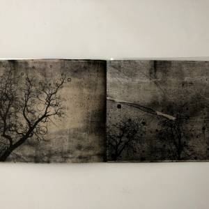 Foto Più della metà del cielo: libri d'artista in mostra a Lugano  12