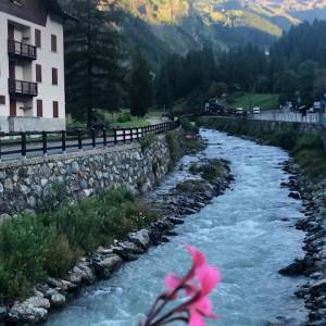 Foto Il Grande Sentiero Walser e il cammino della Valle d’Aosta: la valle di Gressoney 22