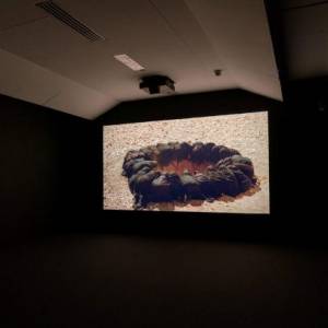 Foto Milano / Shirin Neshat: BODY OF EVIDENCE 4