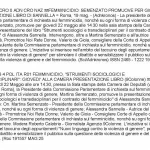 Foto STRUMENTI SOCIOLOGICI E  TRANSDISCIPLINARI PER IL CONTRASTO DEL FEMMINICIDIO

 1