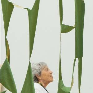 Foto Marion Baruch. Un passo avanti tanti dietro (Firenze, Museo Novecento) 7