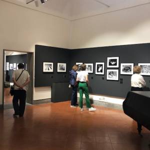 Foto Fino al 21 settembre aperta a Roma la mostra 'Tina Modotti. Donna, Fotografa, Militante' 14