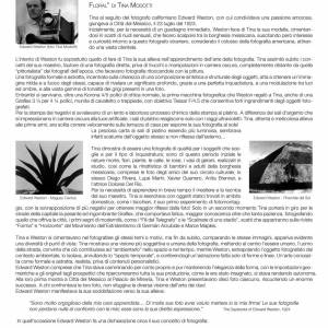 Foto Il percoso in Italia della mostra TINA MODOTTI, DONNA FOTOGRAFA, MILITANTE. Una vita fra due mondi 4