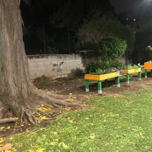 Foto I 25 anni di Cantiere Infanzia: un successo di Nuove Risposte e della cooperazione sociale  5