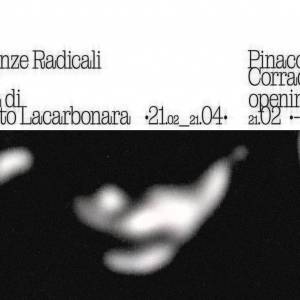 Foto BARI / Inaugurata la mostra l'opera di Pamela Diamante 'Le invisibili. Esistenze radicali'  1