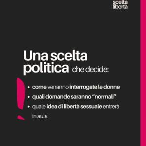 Foto NO al Ddl Bongiorno: altolà al patriarcato  18