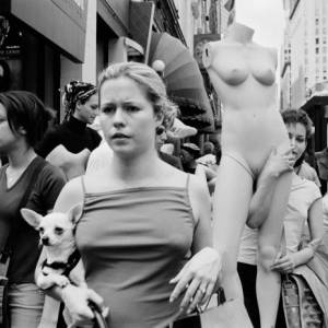 Foto A Roma la mostra 'New York' di Matilde Damele 2