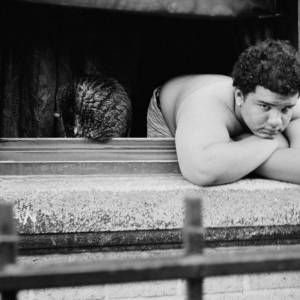 Foto A Roma la mostra 'New York' di Matilde Damele 3