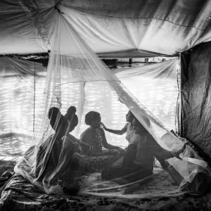 Foto A Cinzia Canneri il riconoscimento come Best Author al Siena Awards Photo Festival 3
