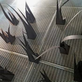 Foto: Immaginare un giardino - di Antonella Prota Giurleo