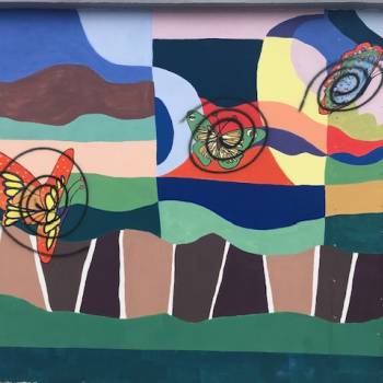 Foto: Progetto Tobia: percorsi dedicati, non preferenziali

