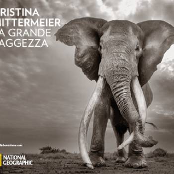 Foto: Vicenza / Cristina Mittermeier. La grande saggezza