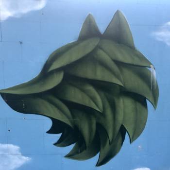 Foto: Violenza di genere: ciò che non si vede, ciò che resta per ricominciare