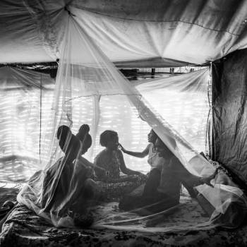 Foto: A Cinzia Canneri il riconoscimento come Best Author al Siena Awards Photo Festival