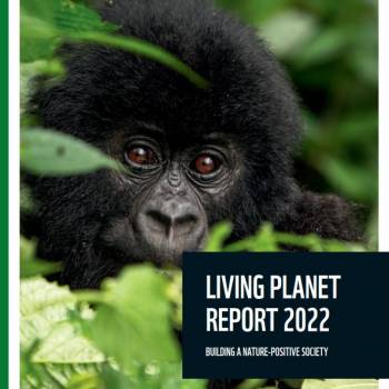 Foto: Living Planet Report 2022. Come si cambia per non morire...