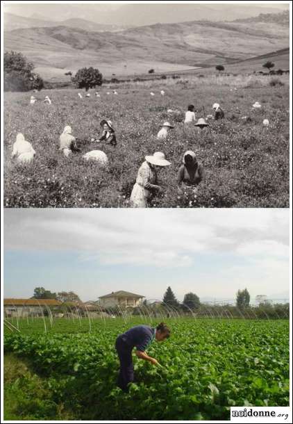Foto: Agricoltura ieri e oggi