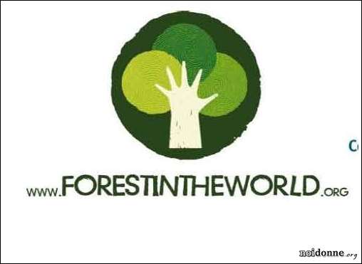 Foto: Concorso europeo “DO THE RIGHT THING, SAVE THE FORESTS!”