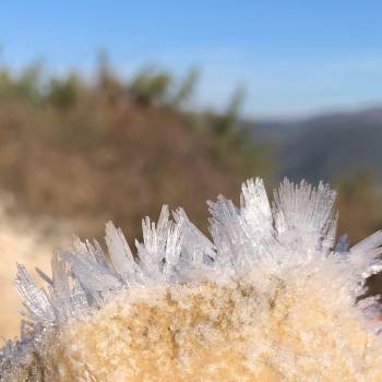 Foto: Le donne, non la legge: l’autocoscienza come prevenzione al mito della verginità