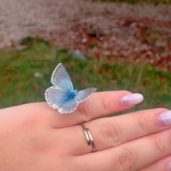 Foto: Il volo delle mariposas: la metamorfosi oltre la fragilità
