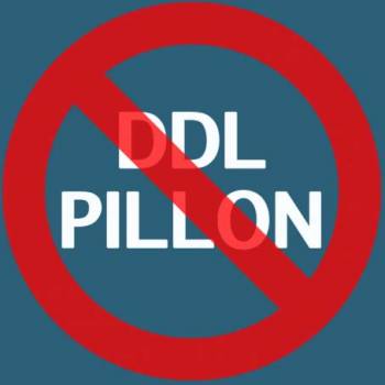 Foto: Pillon: un fazzoletto fuxia per dire STOP alla proposta
