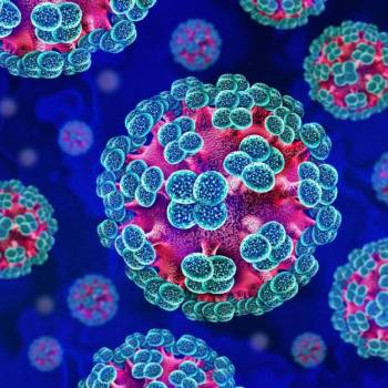 Foto: Hantavirus: tra allerta e realtà, il rischio resta basso