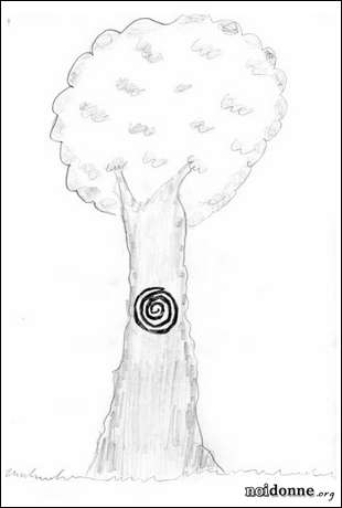 Foto: Leggere l'albero / 5