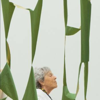 Foto: Marion Baruch. Un passo avanti tanti dietro (Firenze, Museo Novecento)
