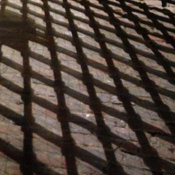 Foto: 'Alzati papà!' Botte, Violenza, Aggressività e…morte a Massa 